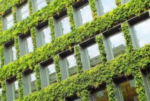 Symboldbild für Green Asset Ratio: Eine mit Pflanzen bewachsene Hochhausfassade symbolisiert nachhaltige Anlagen