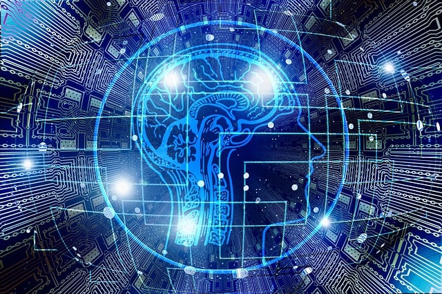 Symboldbild: die Grafok zeigt einen Schnitt durch einen menschlichen Kopf mit blau eingezeichnetem Gehirn sowie Lichtpunkte, die Verbindungen neuronaler Netze symbolisieren. Der dunkle Hintergrund zeigt Schaltkreise.