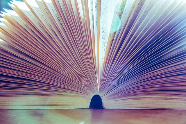 Symboldbild: Offenes Buch im aufgeblätterten Seiten sybolisiert einen Gesetzestext bzw. Prüfungsstandard